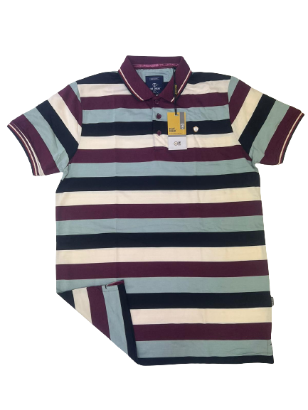 Polo Stripe T-Shirt